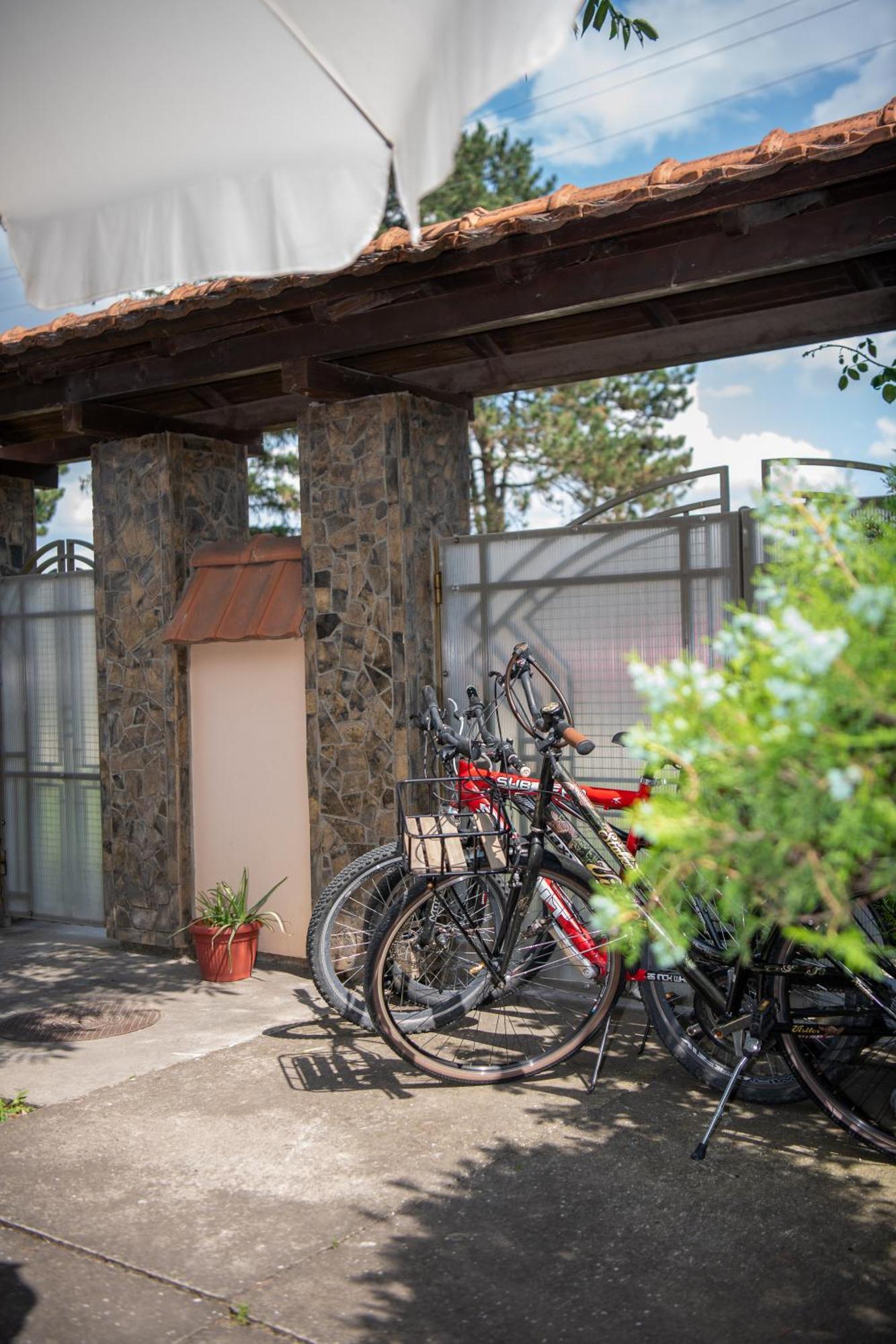 Guesthouse Kristina Palić Eksteriør bilde